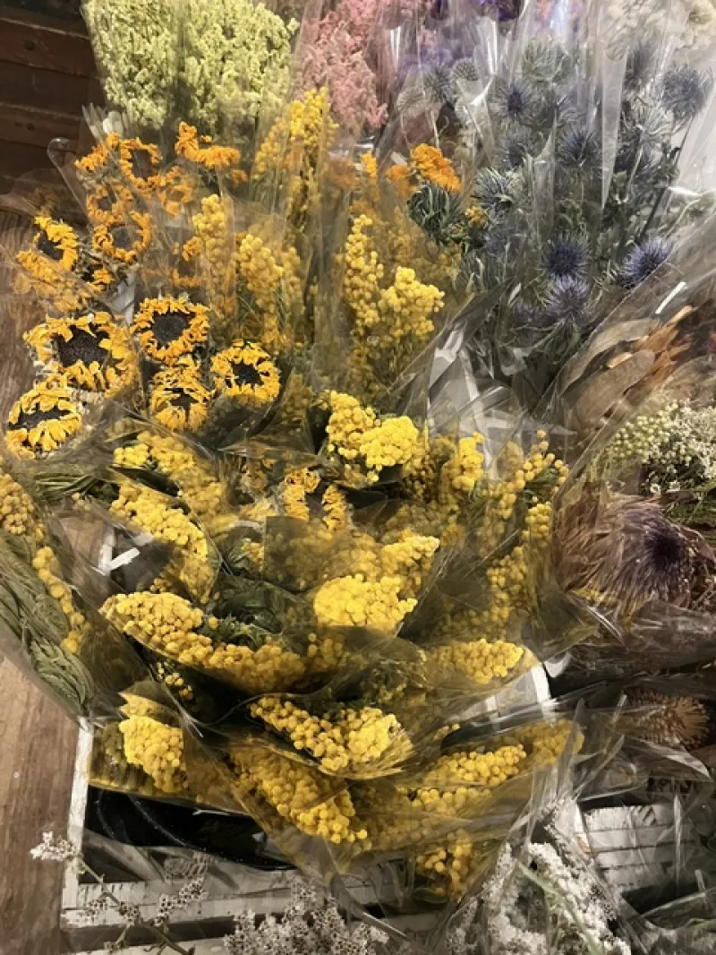 ゴッホのひまわり（八重）ひまわり（一重）　など黄色のお花達は元気にしてくれる！