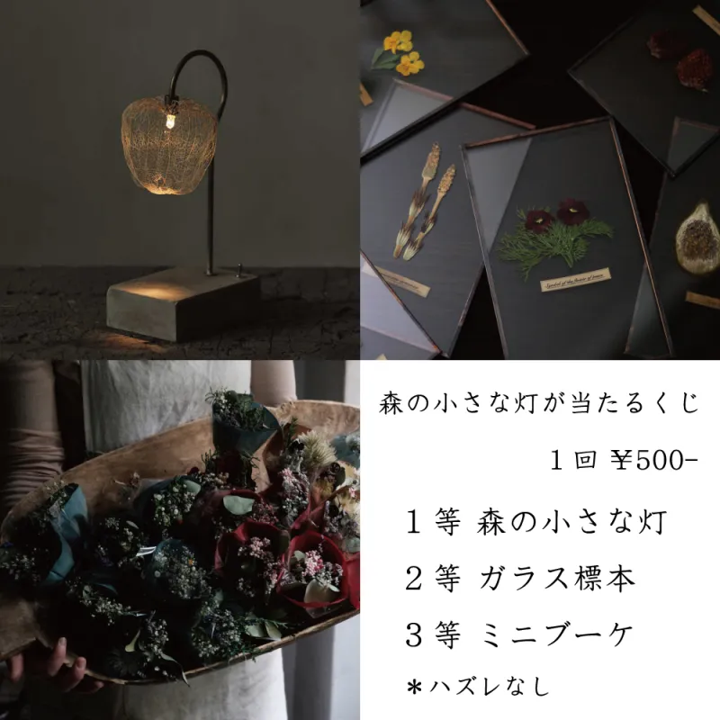 森の小さな灯が当たるくじ