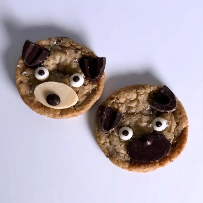 チョコレートチャンククッキー。今回、わんちゃん仕様のクッキーも持っていきます。