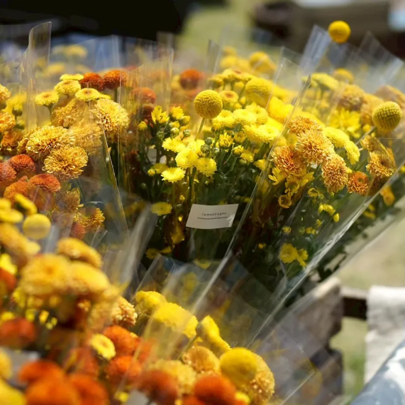 インテリアに気軽に飾れる季節の草花