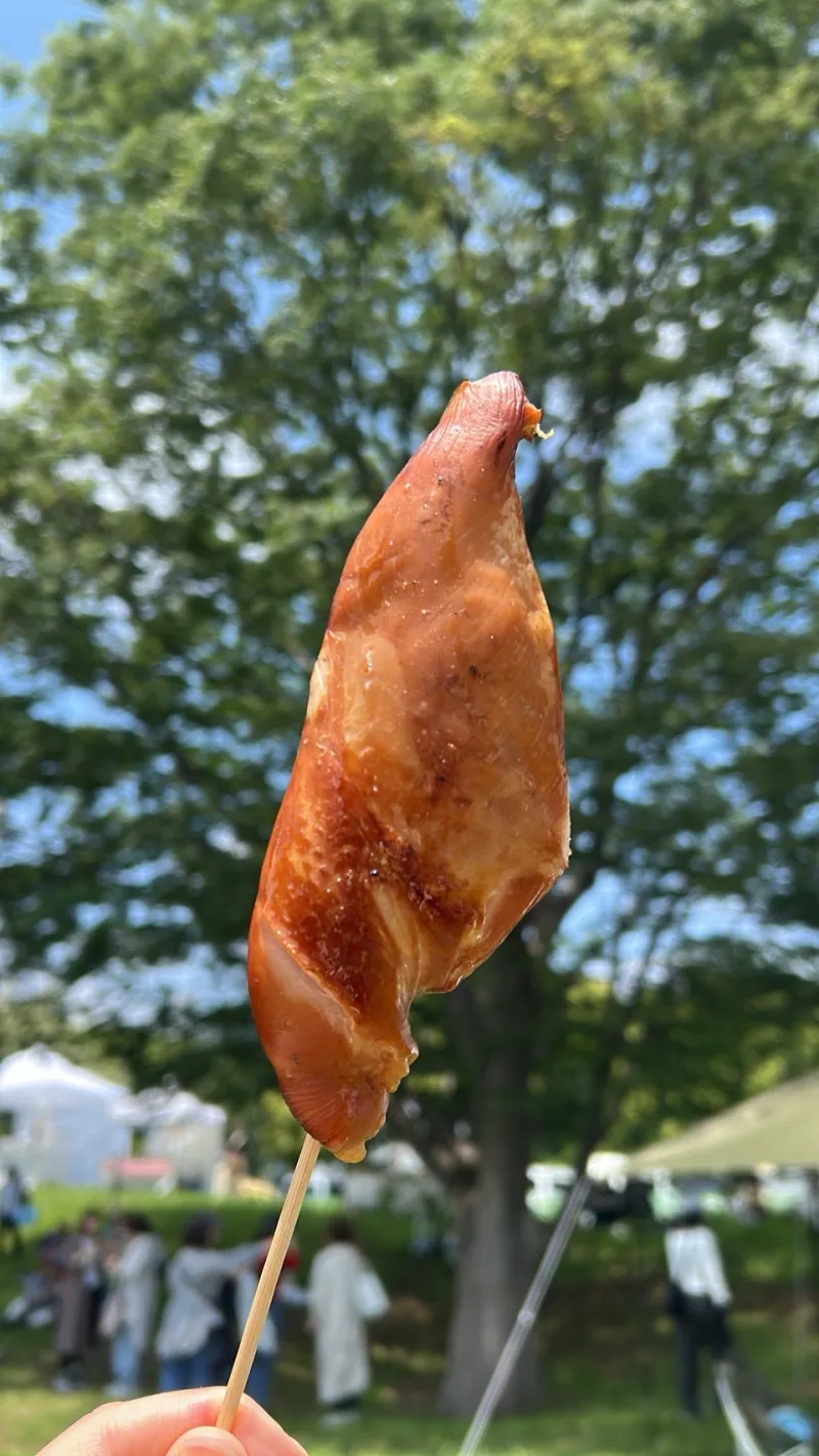 鳥取県産大山鶏胸肉をじっくり熟成しっかり燻して作るスモークチキン炭火焼き