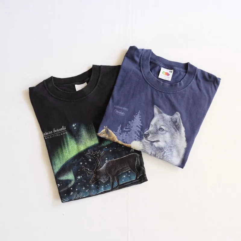 オーロラのイラストがプリントされたフィンランドらしいTシャツ。見た目も気分も少し涼しくなりそうです。