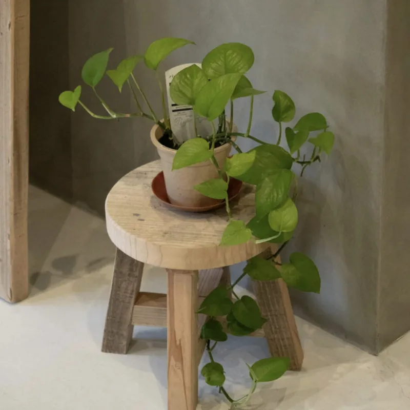 WOODPRO