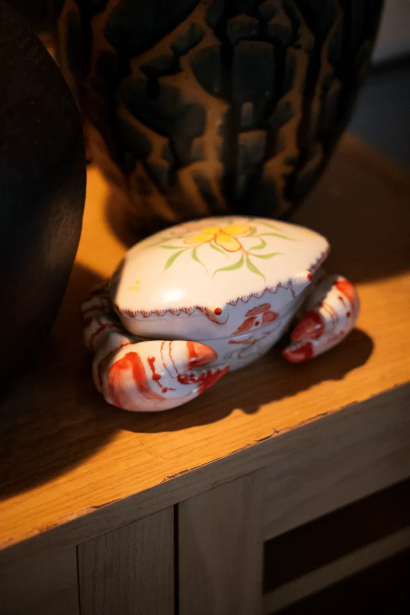 落ち着く居場所を求めて。台湾からやってきた蟹です。