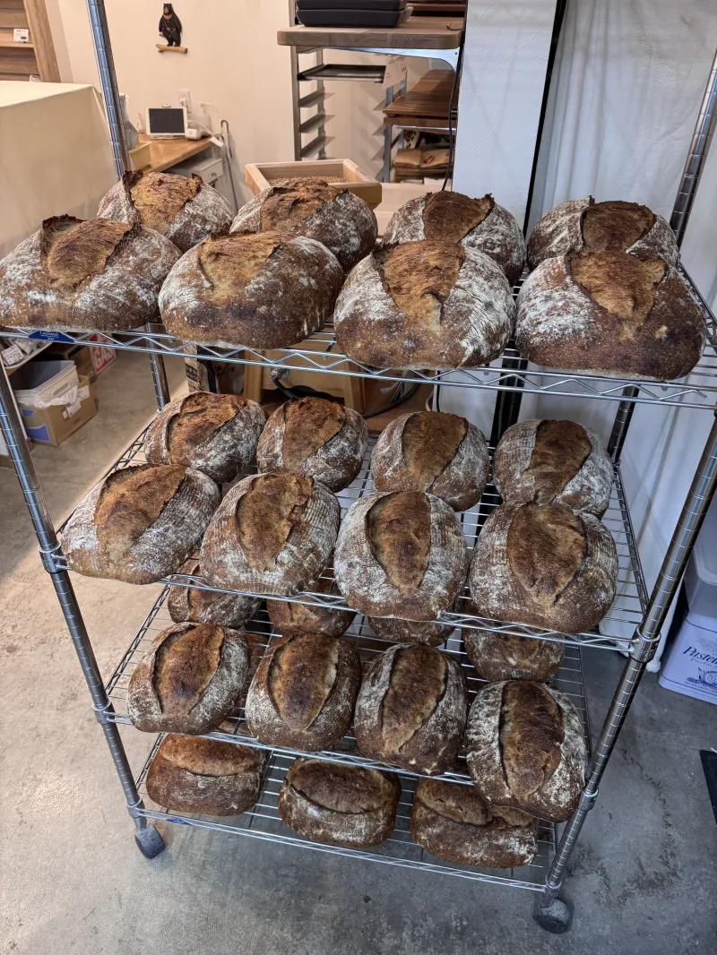 「カンパーニュ」山梨県産小麦と自家製粉したフレッシュな全粒粉、ライ麦全粒粉を使用した少し酸味のある食事パン