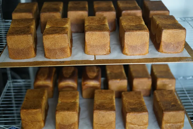 AMPEL GRAINFACTORY　＊14日・15日のみ