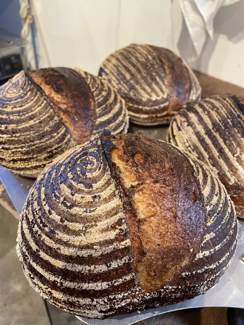 「サワードゥカンパーニュ」オープン当初からライ麦で繋いでいるサワードゥを使ったand bakingの看板商品のパンです。