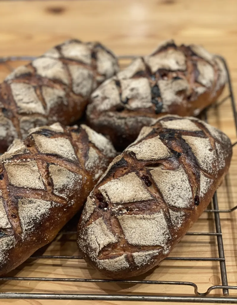 「チェリー＆カシューナッツ」サワードゥカンパーニュの生地にドライチェリーとカシューナッツを加えた春限定パンです。