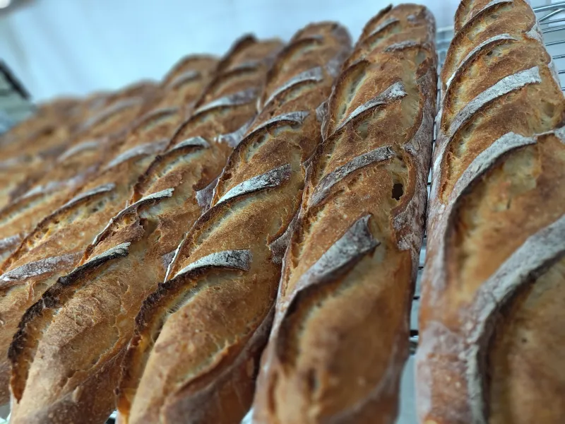 岩手県産小麦「ゆきちか」のバゲット。シンプルですがしっかりした味。アヒージョやサンドイッチにもおすすめです。