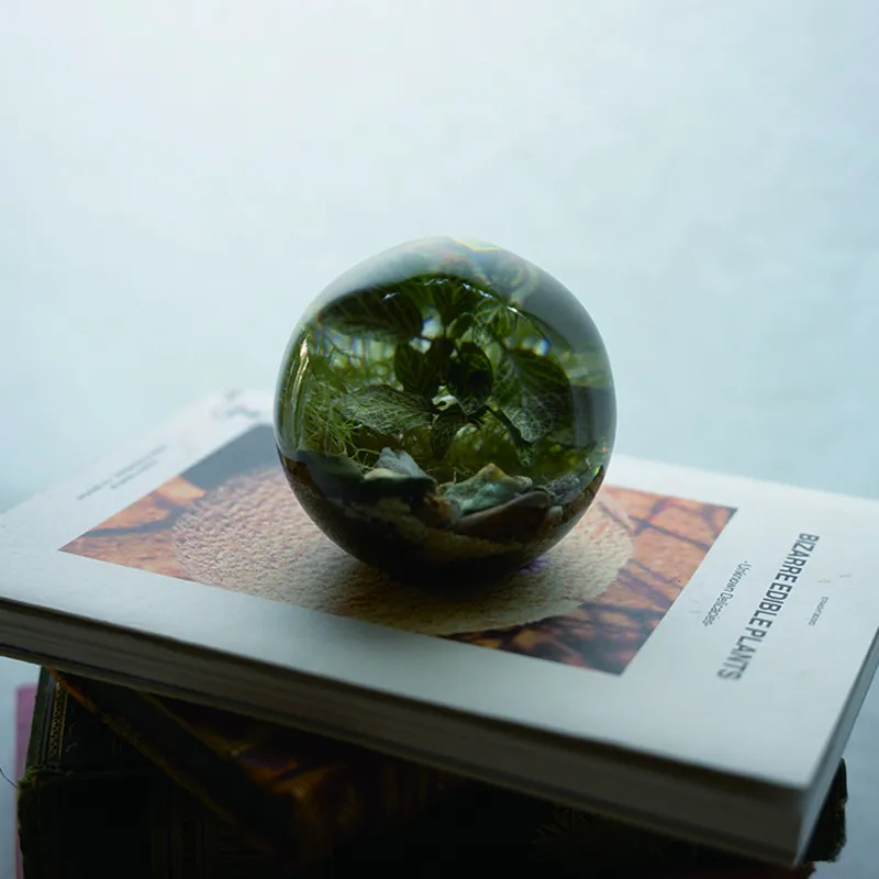 まるで時を止めたかのように植物を封じ込めた、レジン製のオブジェ