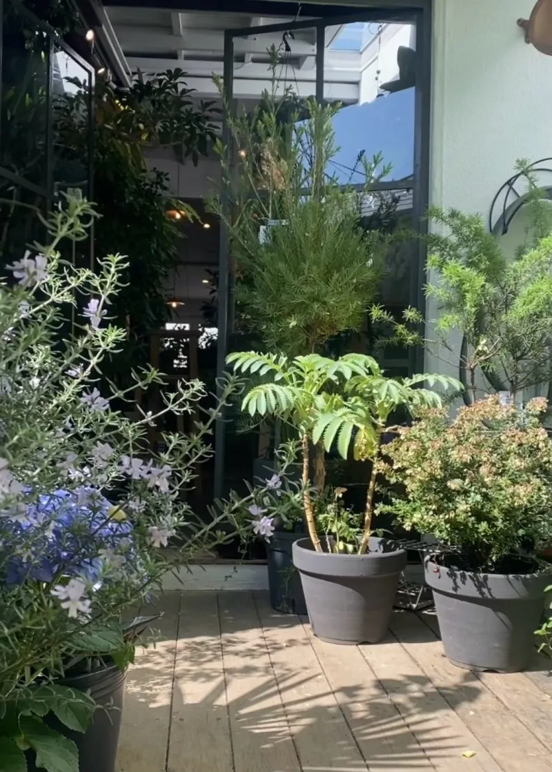 お庭で育てる植物もお持ちします！