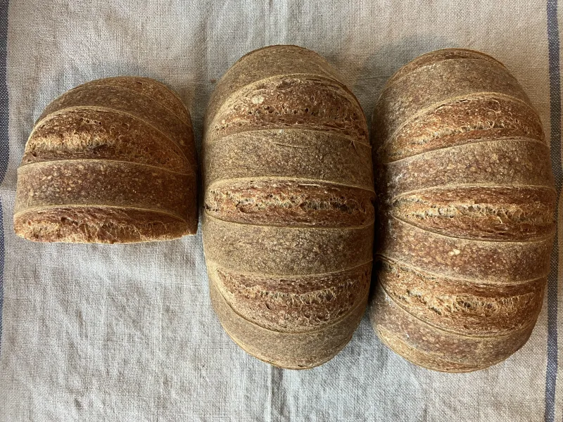 「エポートル」スペルト小麦を使った栄養価の高い全粒粉パン