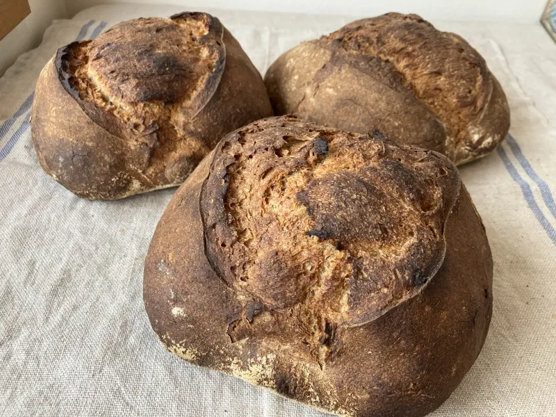 「コンパン」香ばしい皮としっかりした噛みごたえの小麦全粒粉とライ麦全粒粉のカンパーニュ