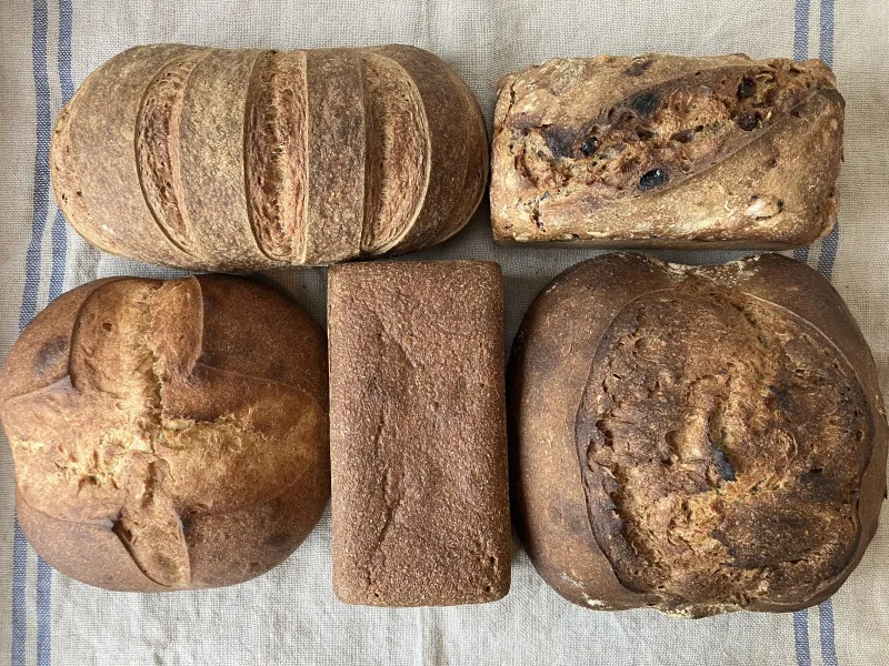 Compain　＊17日のみ