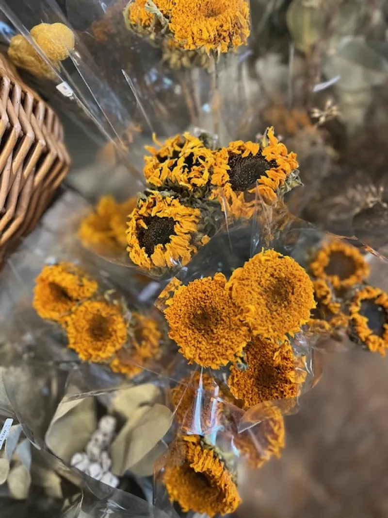 夏の花、ひまわり。ゴッホのひまわりは八重咲きで、力強く印象的！