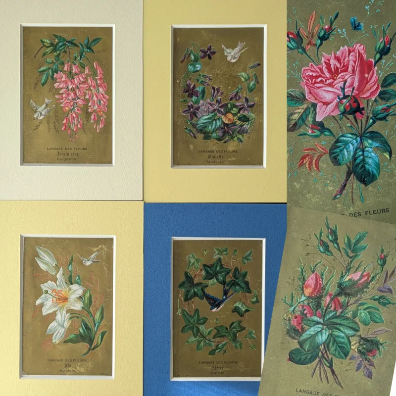 美しく繊細な花々が描かれた、希少なカード。それぞれ花言葉が添えられています。