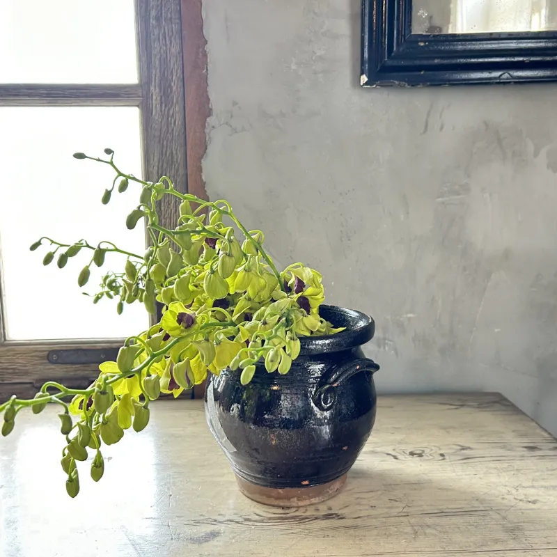 パリで一目惚れした南仏の陶器。繊細な佇まいと趣で、お花を添えたら特別なアンティーク！　貴重な一点ものです。