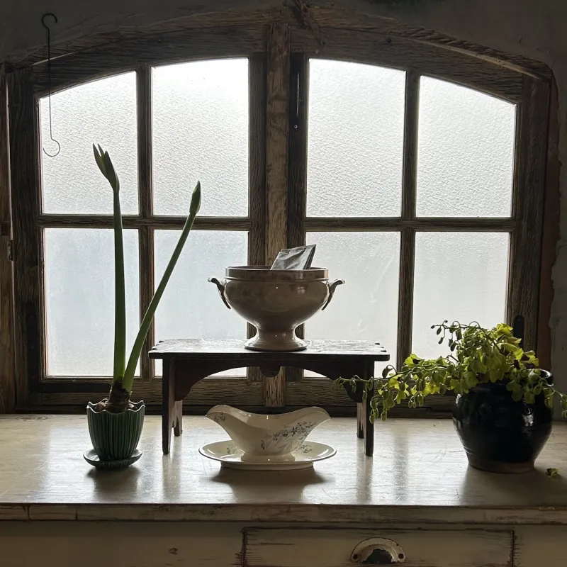 一輪の植物と共に、フランスアンティーク を取り入れてみませんか？