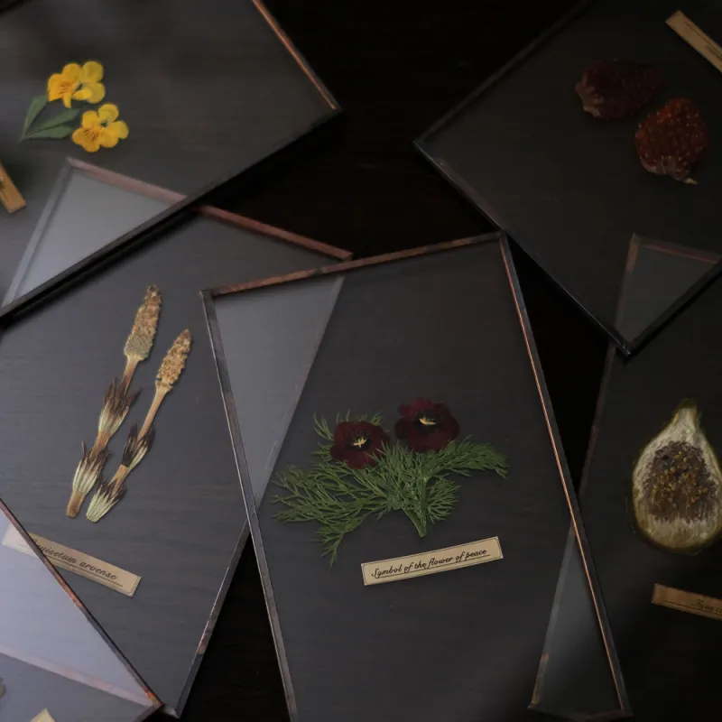 本物の押し花を使った作品ガラス標本。今回は4日間開催ということもあり、たくさん製作してお持ち致します。