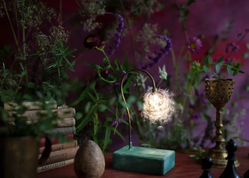 はいいろオオカミ+花屋 西別府商店