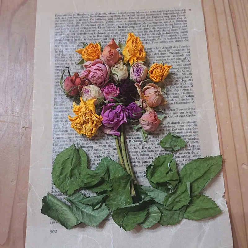 hoa hong pj　＊16日のみ