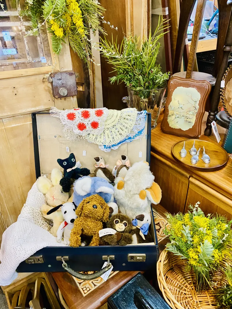 わたしの大好きなぬいぐるみたち。可愛がってくださる方に出会えますように！