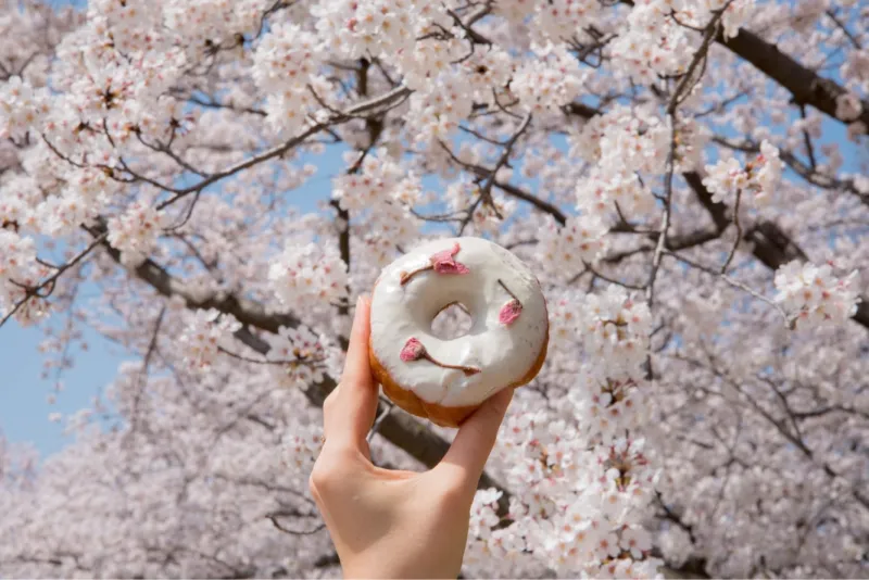 「さくら」聖蹟桜ヶ丘という桜の綺麗な町でドーナツ屋をやっています。