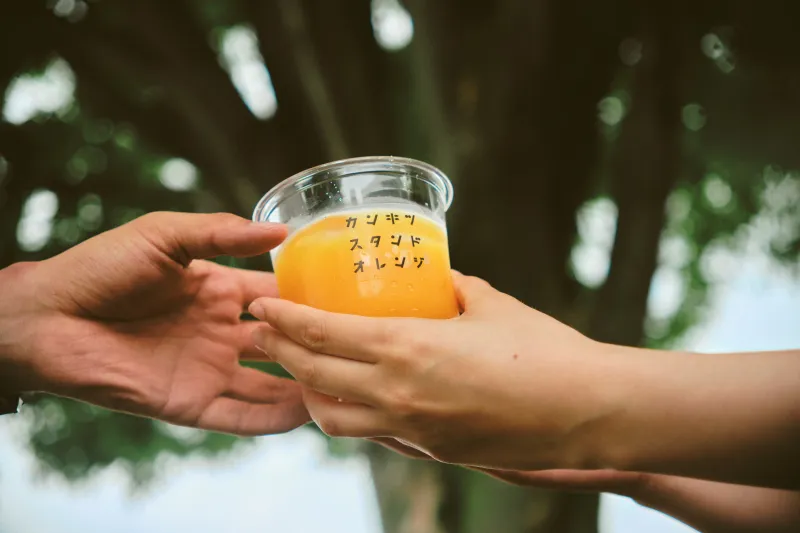 選べる100%ストレート柑橘ジュース