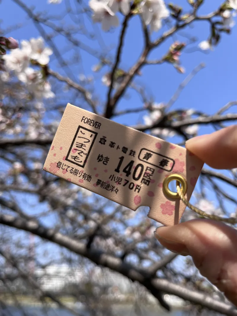 いつまでも青春を楽しむ方へ