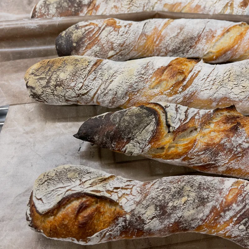 「Lodeve」全粒23％、加水系