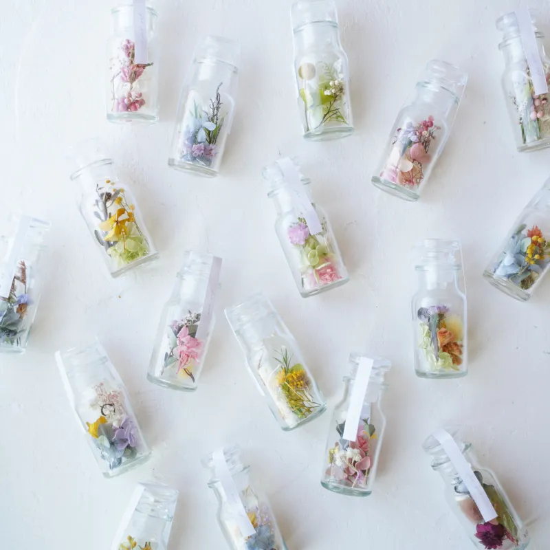 いつも大人気の植物の詰め放題。今回もたくさんご用意致します。