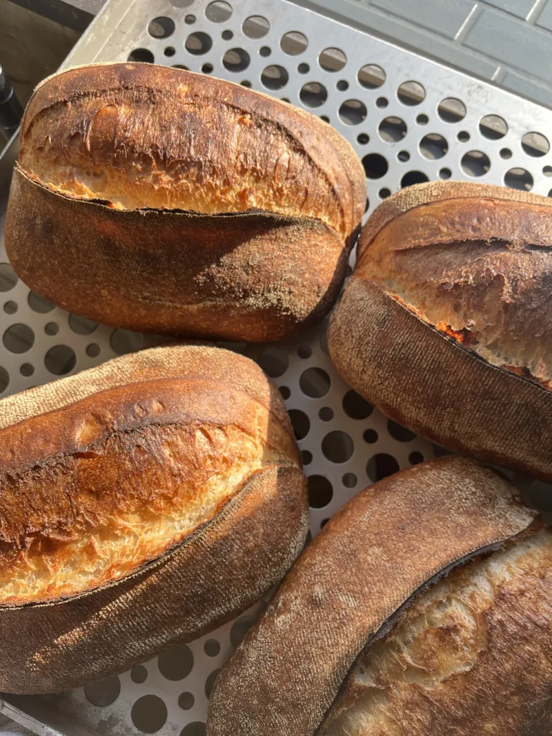 Sourdough bread