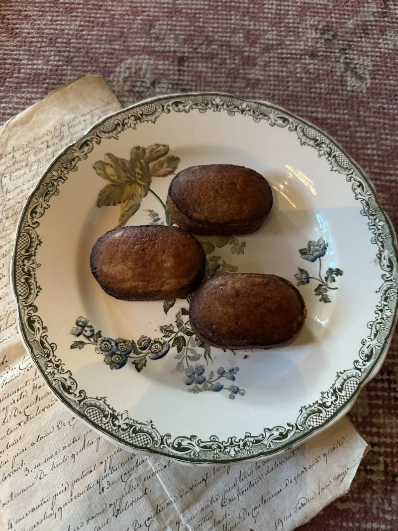 1800年後期、「サルグミンヌ」の美しいお皿です。とても上品な一枚です。