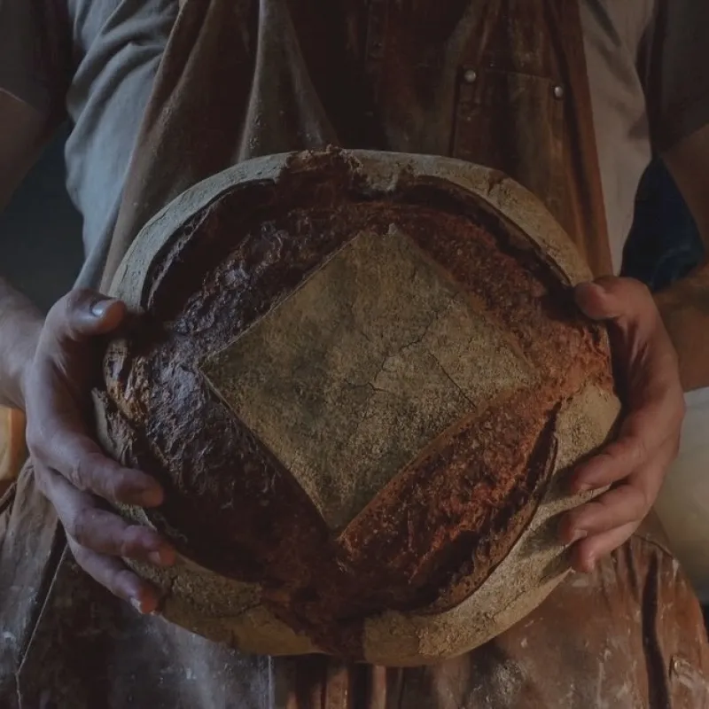 「カンパーニュ ビオ」どんな食材も受け止める。例えるならご飯や水のようなパン