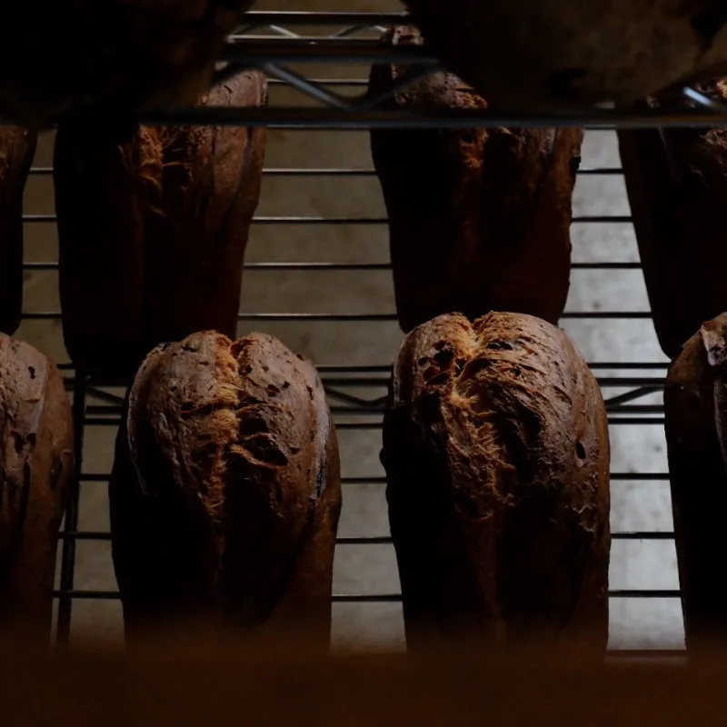 「ブリオッシュ」田舎らしいどっしりハードなブリオッシュ