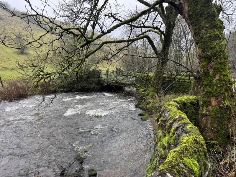 ＭＬＰショップ