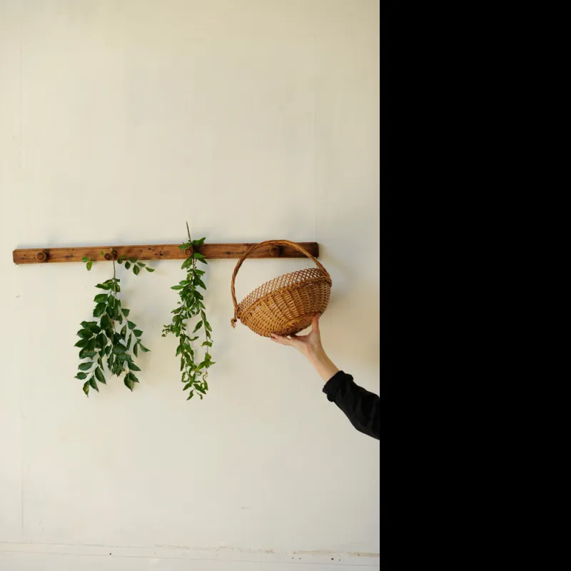 muguet du premier mai