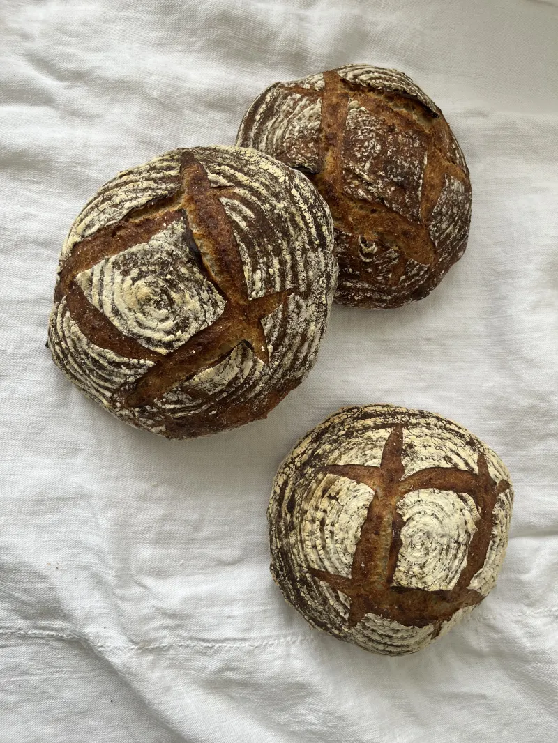 パンのかけらでつくった湯種を用いたもちもちのカンパーニュ