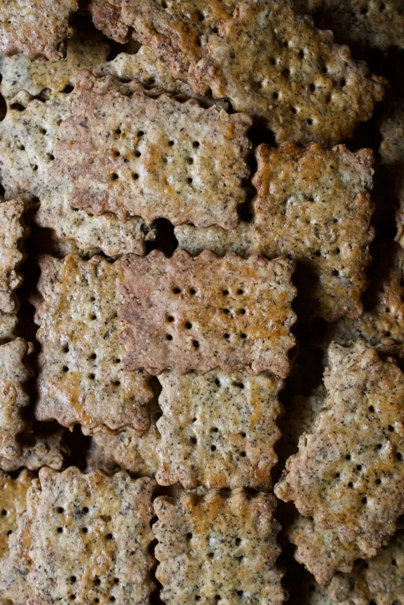 「小麦ビスケット」噛むと口の中で広がる小麦の味。ザクザクとした硬めの食感がクセになります。