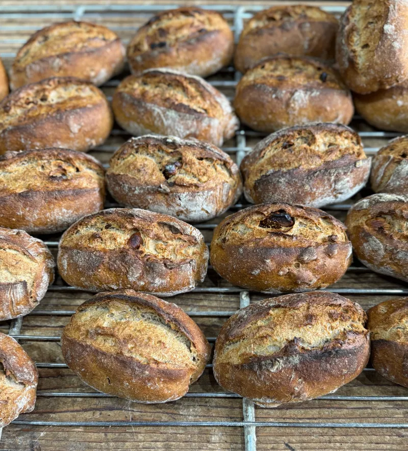 ライ麦パンは、イチジクとナッツ、ドライマスカット、メランジェ、チーズのカンパーニュといろいろ。