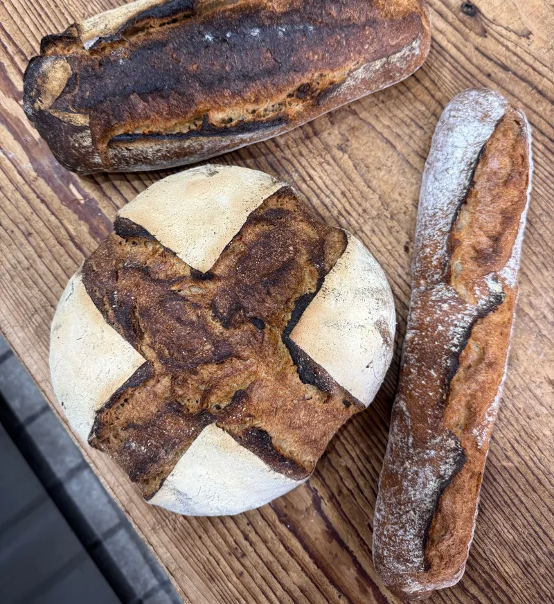 パンピーポー　＊16日・17日のみ