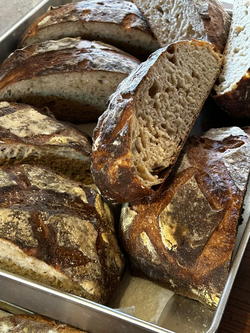 全粒粉50%カンパーニュ