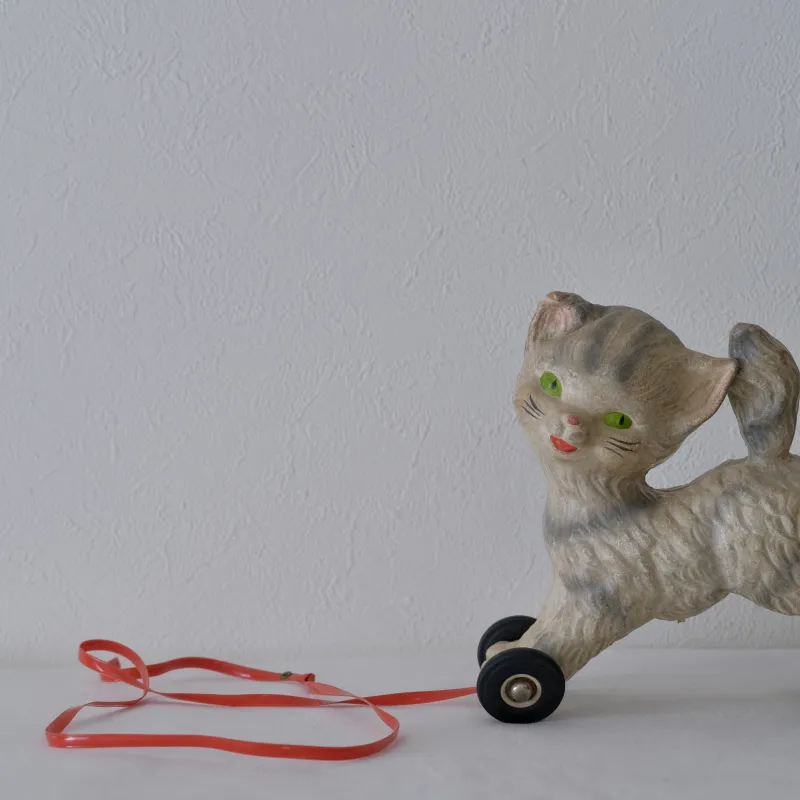 フランスで出会ったネコの引ぐるま