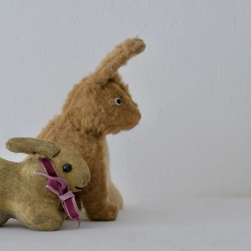 フランスで出会ったウサギのぬいぐるみ