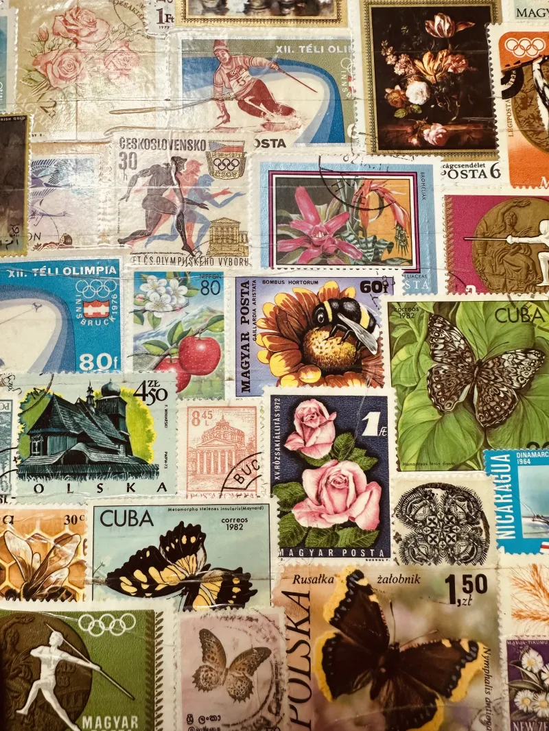 りんりん商店　＊16日・17日のみ