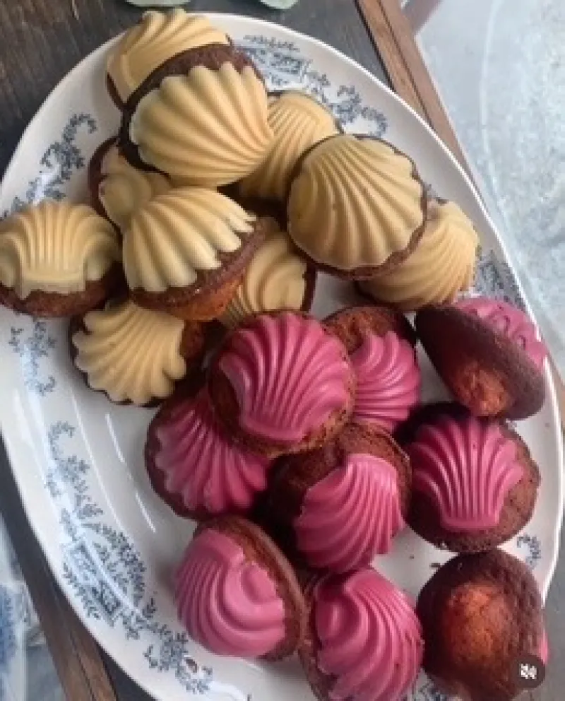 Room：105　＊14日・15日のみ