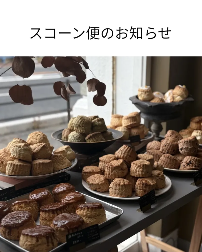 Room：105　＊14日・15日のみ