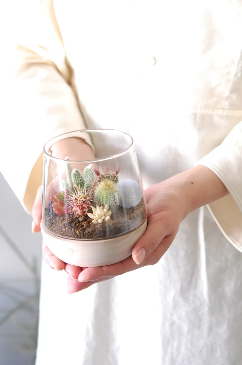 テラリウムの寄せ植えです。ガラスとウッドの組み合わせでナチュラルな雰囲気がどんなインテリアにも合います。ギフトに大人気。