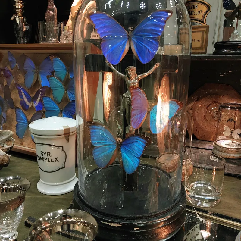 アンティークの十字架に群がる、幻想的に輝くモルフォ蝶。神秘的な世界を大きなガラスドームに閉じ込めました。