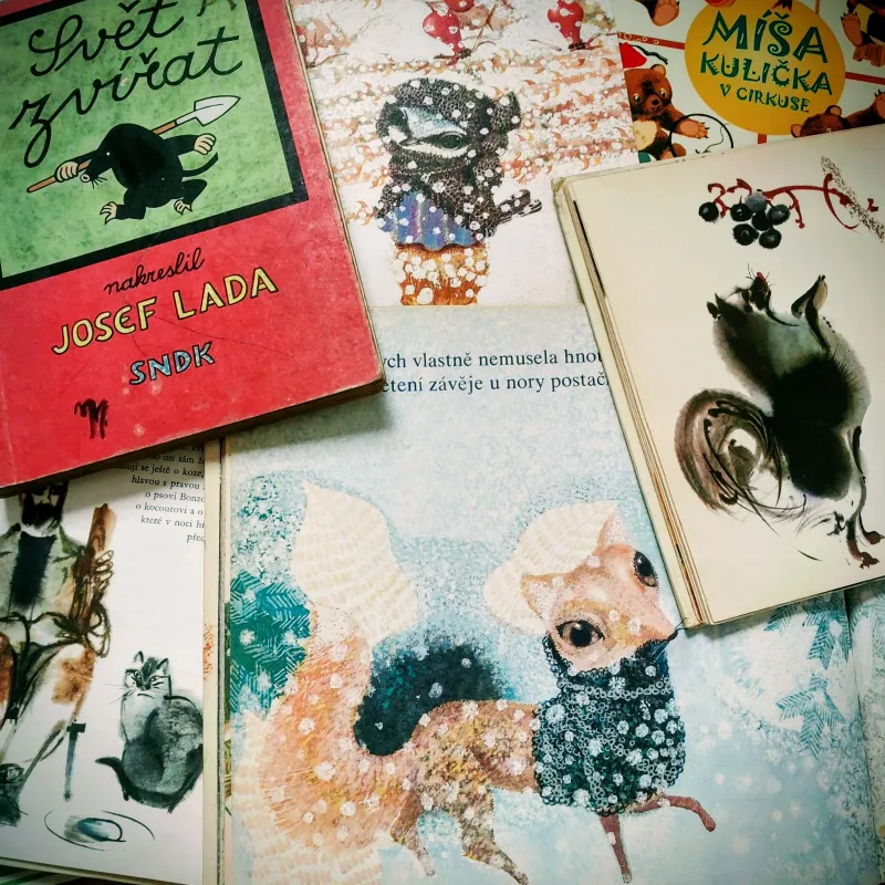 60年代前後チェコのヴィンテージ絵本。独特なタッチと色使いが魅力。レトロで可愛らしく、ノスタルジックな雰囲気が漂う一冊。